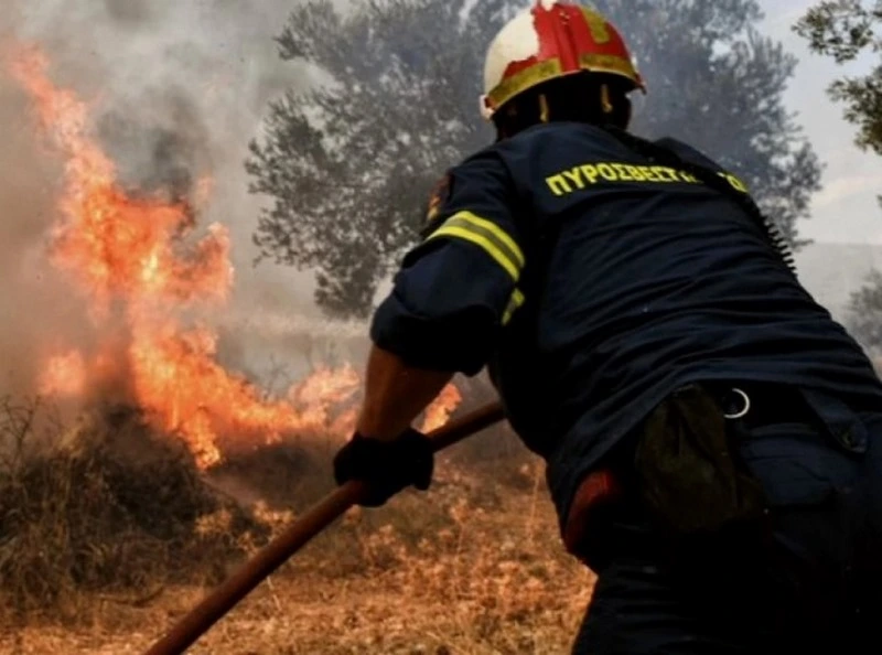 Βαρύ πρόστιμο για καύση σκουπιδιών σε οικόπεδο της Ελασσόνας