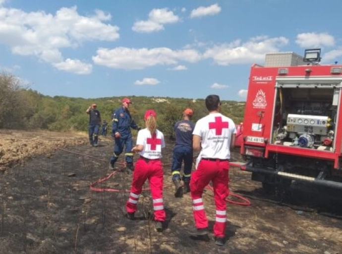 Μαύρη γη άφησε πίσω της η φωτιά στο Παλαιόκαστρο Ελασσόνας 