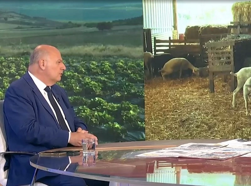 Τσιάρας σε ΕΡΤ | Τι συμβαίνει με τη διάδοση της πανώλης - Έχουν θανατωθεί 9.000 ζώα
