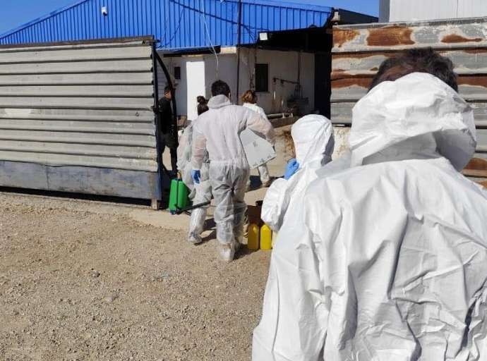 ΠΑΝΩΛΗ | Ομοσπονδία Κτηνοτρόφων Θεσσαλίας για... χαλάρωση: Κανείς δεν δικαιούται να παίζει με την αγροτική οικονομία
