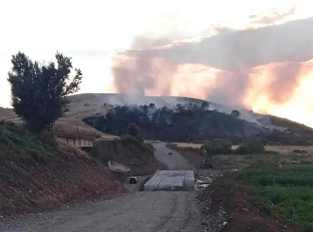 Κουρέτας: Σε αυξημένη επιφυλακή η Θεσσαλία για την προστασία από πυρκαγιές - Οι απαγορεύσεις
