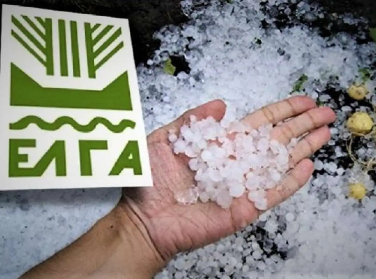 ΕΛΓΑ: Σε διαβούλευση το σχέδιο χαλαζικής προστασίας με εναέρια μέσα