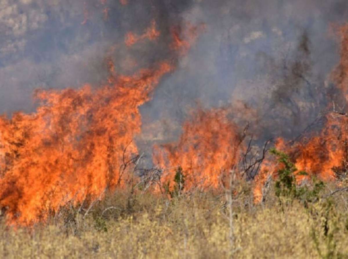 Πρόστιμα για φωτιά στα Καλά Νερά και στη Βυζίτσα