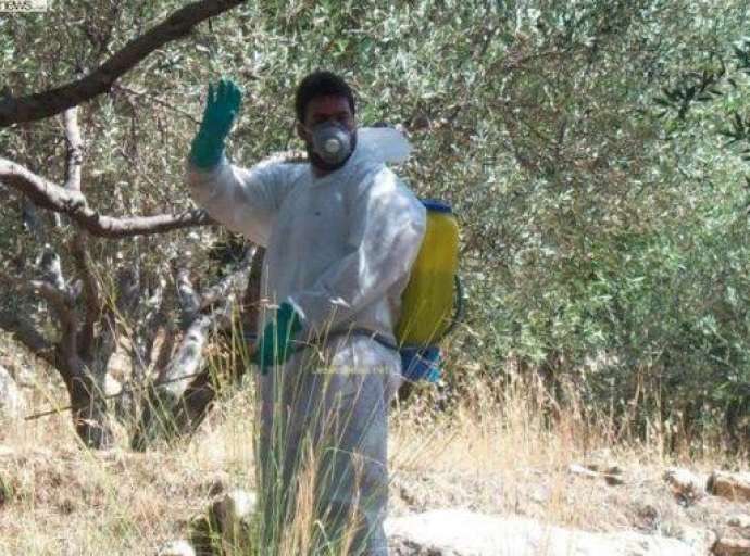 Περιφέρεια | Διενέργεια γενικού δολωματικού ψεκασμού στους Δήμους Τεμπών και Ελασσόνας