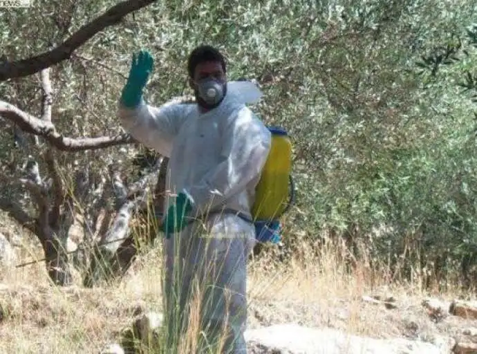 Περιφέρεια | Διενέργεια γενικού δολωματικού ψεκασμού στους Δήμους Τεμπών και Ελασσόνας