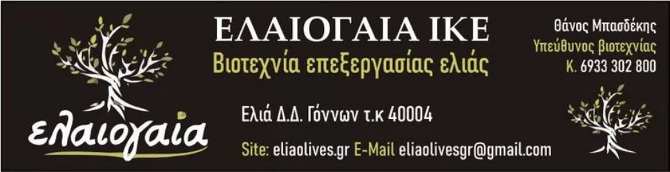 Ελαιογαία