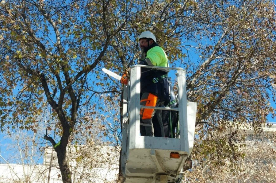 Εργασίες κλαδέματος δέντρων στην 28ης Οκτωβρίου 