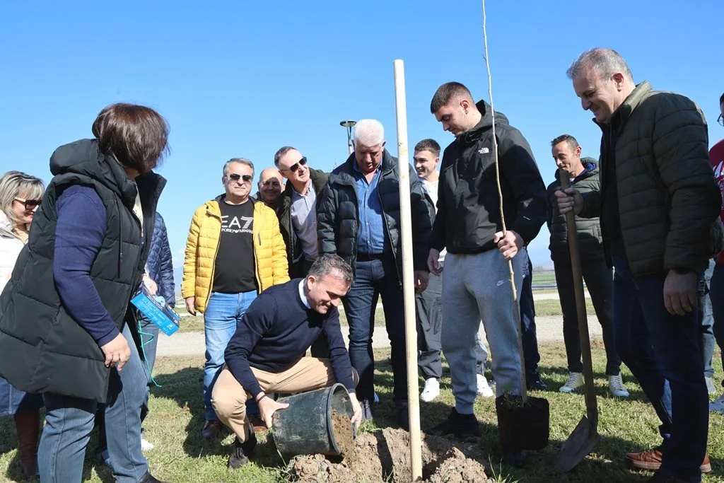 Ο Δήμος Λαρισαίων προχωρά στη φύτευση 120 δέντρων στην οδό Ιωαννίνων