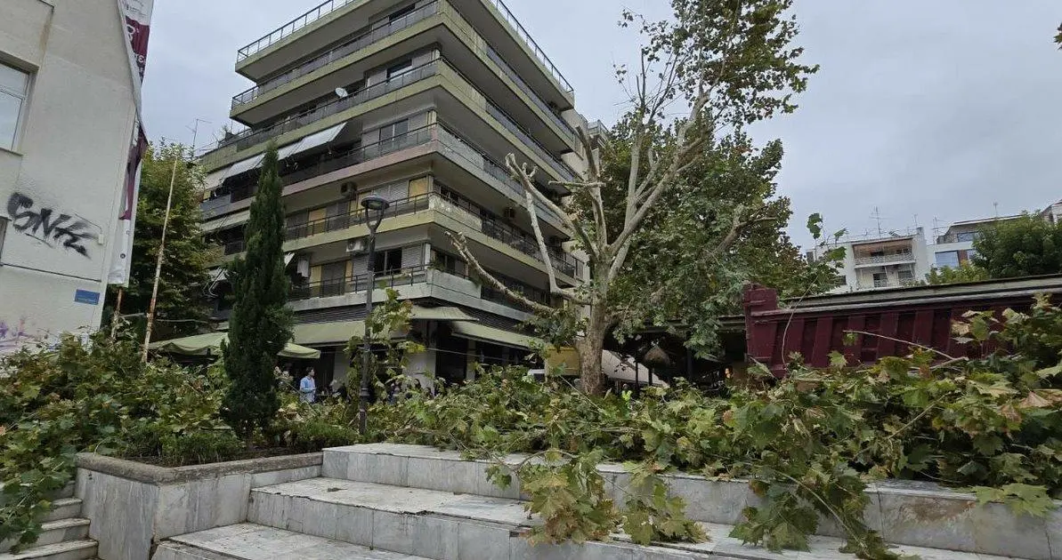 Δήμος Λαρισαίων: Αδιαπραγμάτευτη αρχή η προστασία και διαφύλαξη του πρασίνου στην πόλη