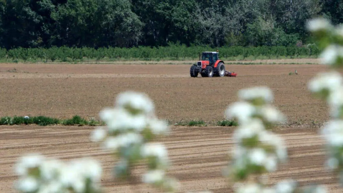 ΕΛΓΑ: Καταβολή 6,2 εκατ. € σε παραγωγούς