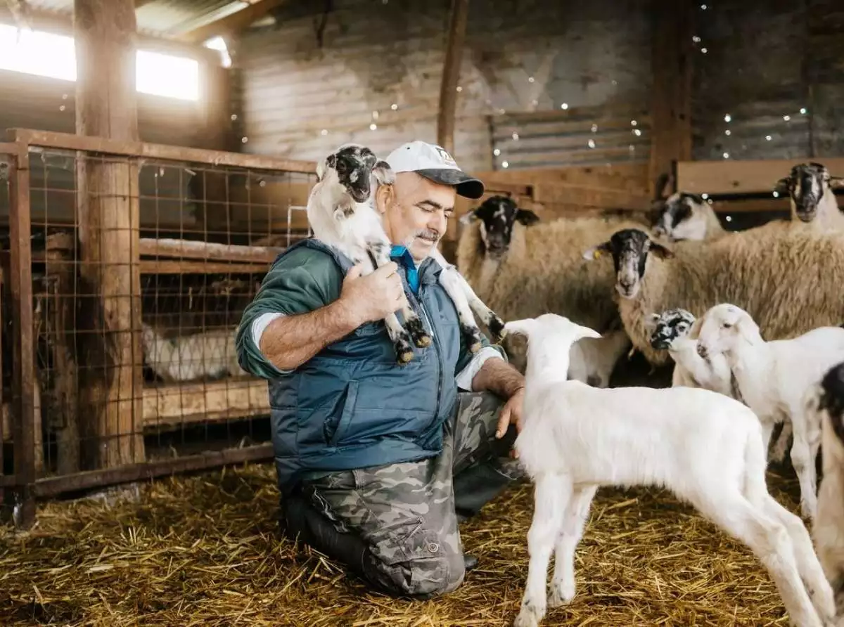 Συναγερμός για την ευλογιά - Στοπ σε μετακινήσεις και σφαγή αιγοπροβάτων