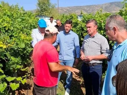 ΔΑΟ Π.Ε. ΛΑΡΙΣΑΣ | Παρέμβαση Αναδιάρθρωσης και Μετατροπής Αμπελώνων Περιόδου 2024- 2025