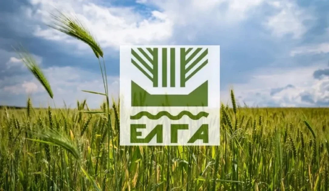 ΕΛΓΑ: Πληρωμή 6,4 εκ. ευρώ σε καλλιέργειες που επλήγησαν από τον παγετό την Άνοιξη του 2025
