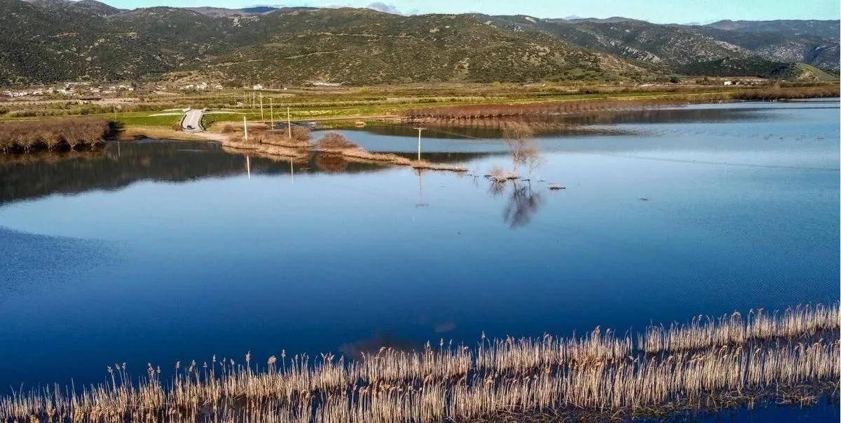 Η Περιφέρεια χρηματοδοτεί την αναγέννηση καλλιεργειών στις παρακάρλιες περιοχές