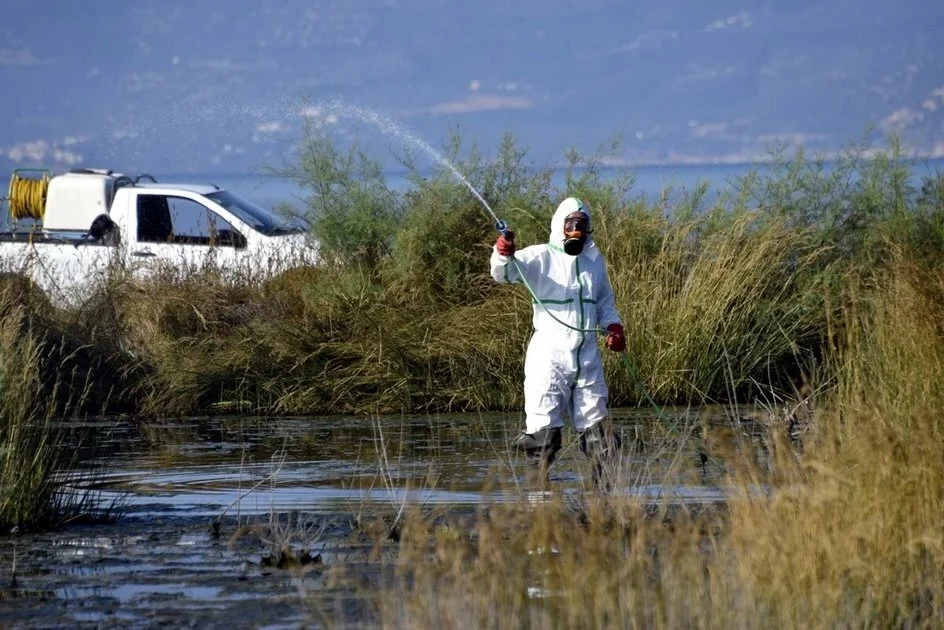 Θεσσαλία: Στις περιοχές με αυξημένη επιβάρυνση από τα κουνούπια – 320 κρούσματα τα τελευταία 15 χρόνια