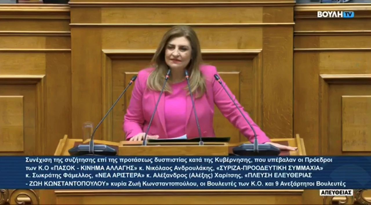 Λιακούλη: Η ηθική χρεωκοπία της Κυβέρνησης Μητσοτάκη οδηγεί στην πολιτική χρεωκοπία της (VIDEO)