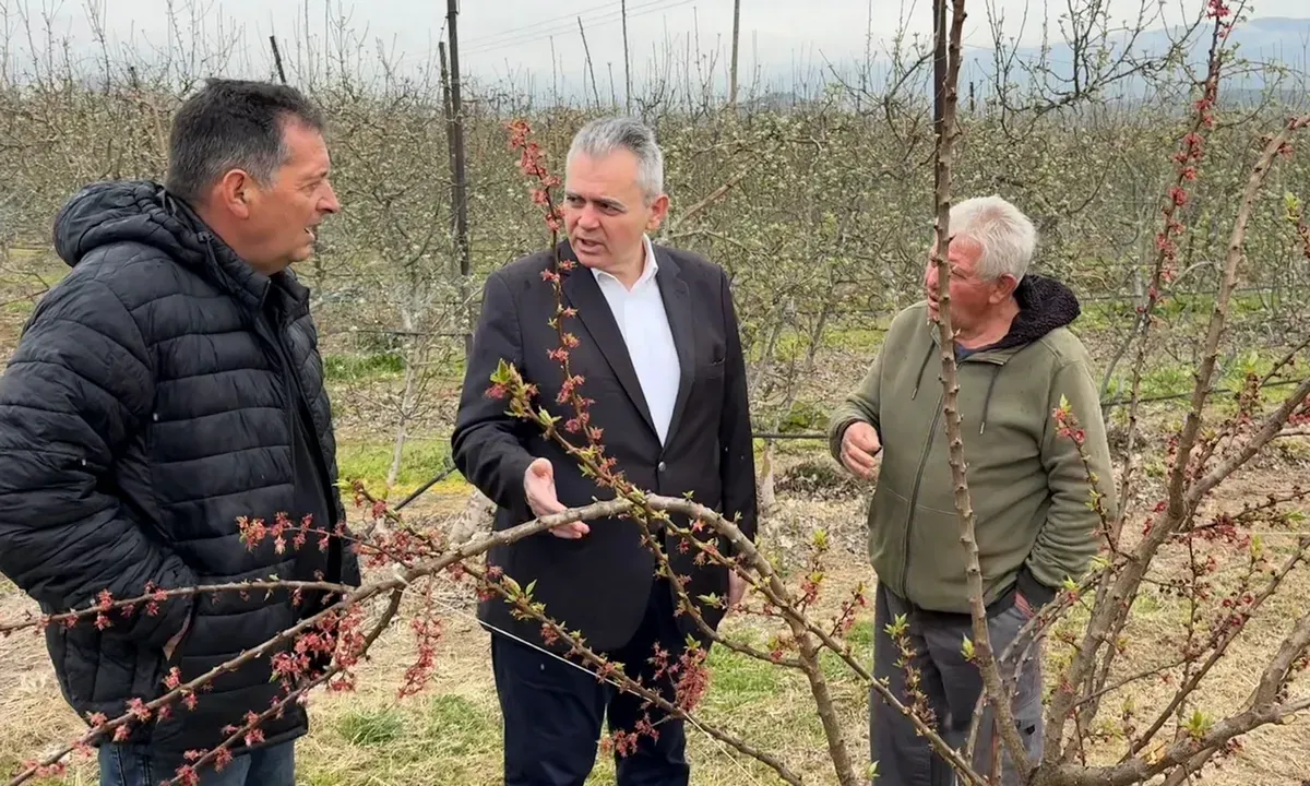 Χαρακόπουλος από Αγιά: Επιβεβλημένες οι προκαταβολές αποζημιώσεων στις παγετόπληκτες καλλιέργειες (ΦΩΤΟ)