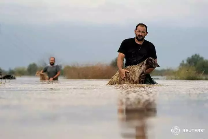 ΕΛΓΑ | Εκκαθάριση πληρωμών σε κτηνοτρόφους για Daniel &amp; Elias