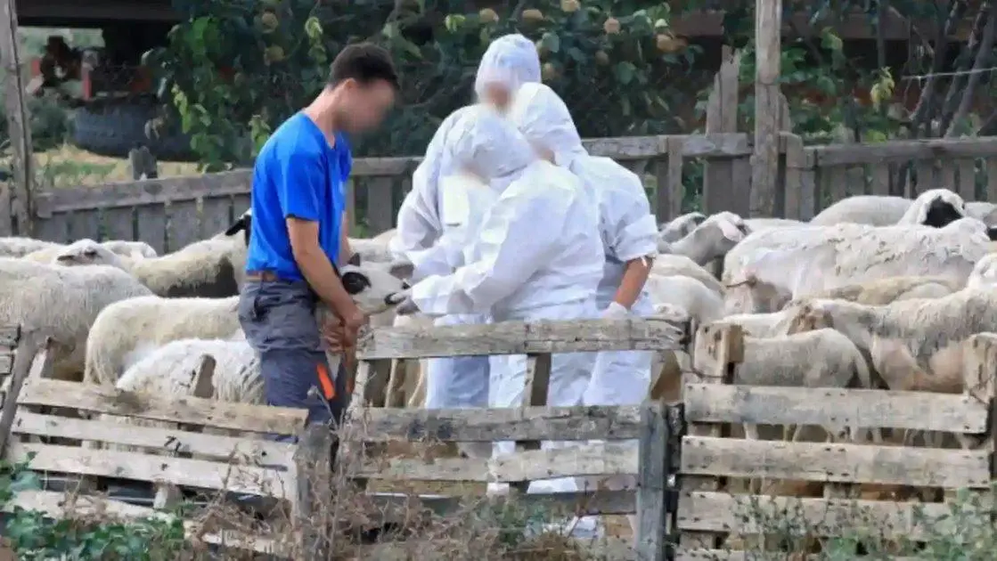 Συλλήψεις για παραβίαση των μέτρων βιοασφάλειας για την ευλογιά
