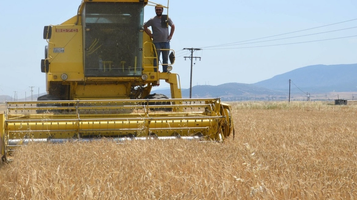 Ξεκίνησε ο θερισμός των κριθαριών στον θεσσαλικό κάμπο