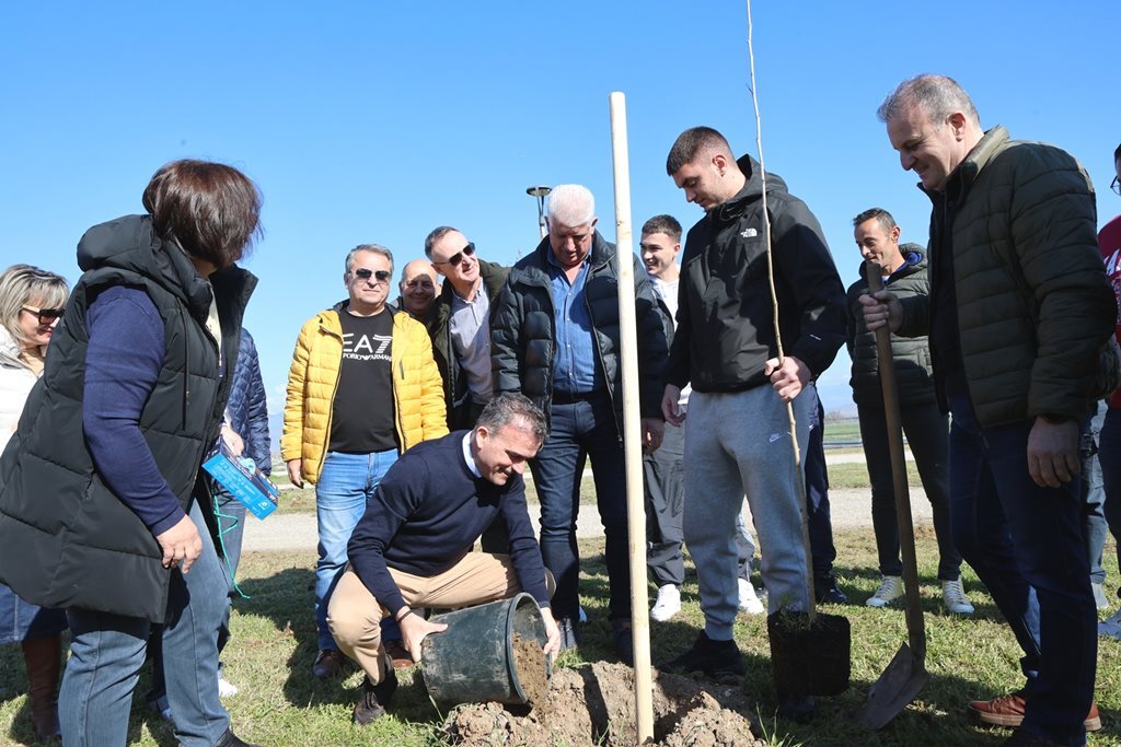 Ο Δήμος Λαρισαίων προχωρά στη φύτευση 120 δέντρων στην οδό Ιωαννίνων