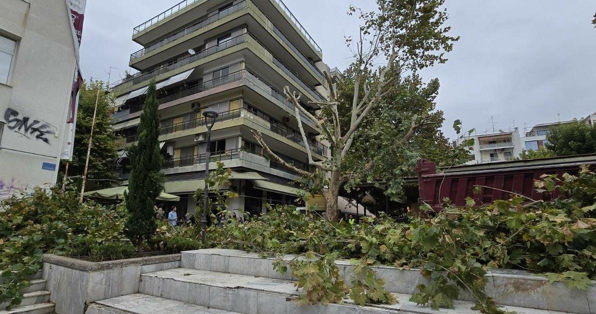 Δήμος Λαρισαίων: Αδιαπραγμάτευτη αρχή η προστασία και διαφύλαξη του πρασίνου στην πόλη