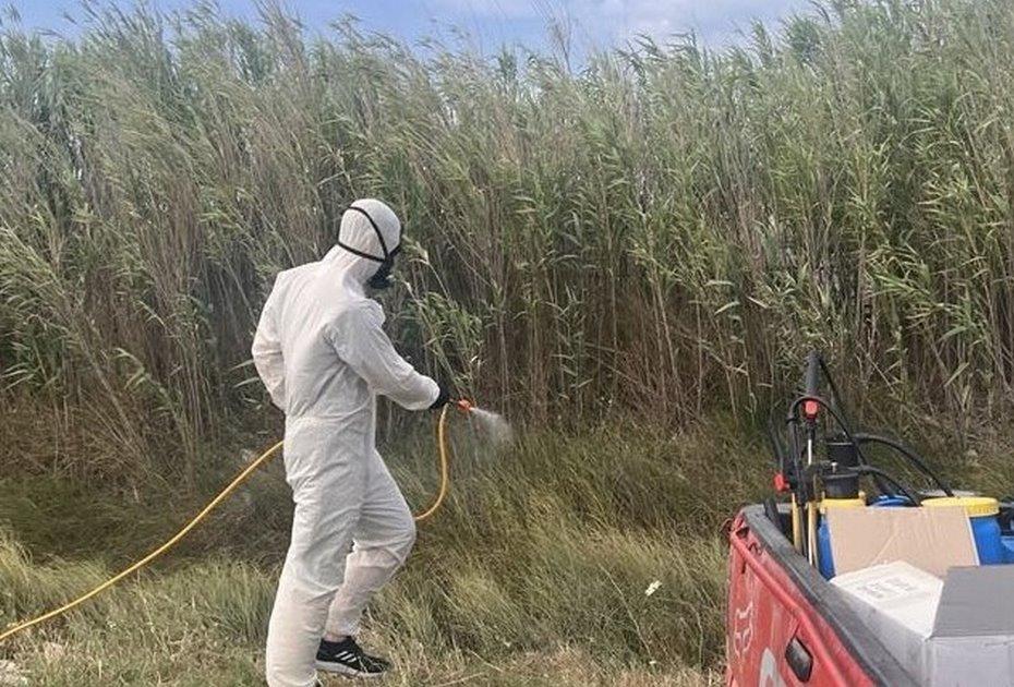 Με εντατικούς ρυθμούς το πρόγραμμα καταπολέμησης κουνουπιών από τον Δ.Λαρισαίων