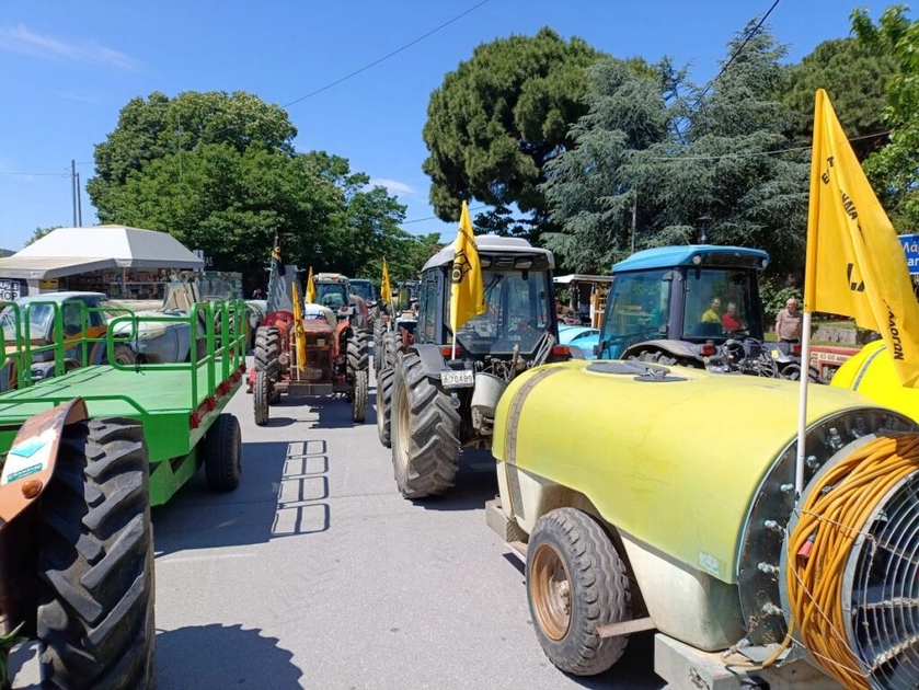 agrotes agias1 1024x769