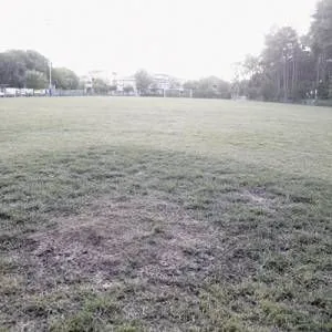 ABEROF_15_original