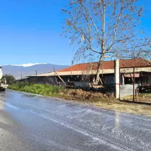 image2_original