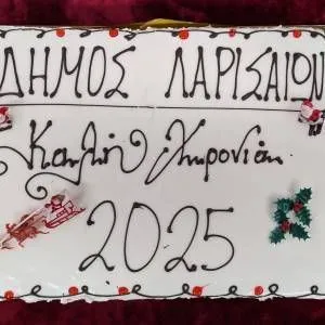 Dimotiko_Symvoulio-Kopi_pitas_2025_5_original