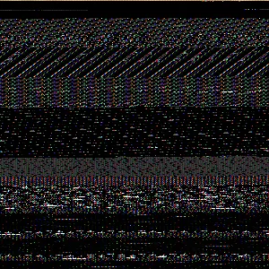 R6II9080_original