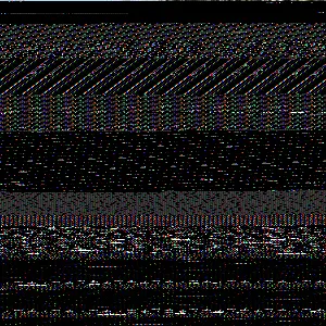 202502061255472748_original