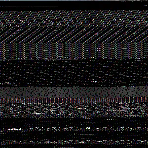 202502061255537917_original