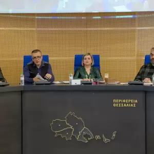 _Z623132_original