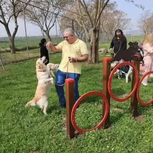 Dimos_Larissaion-Dimotiko_Katafygio-Xvros_Proaylismou_14_original