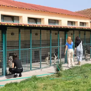 Dimos_Larissaion-Dimotiko_Katafygio-Xvros_Proaylismou_15_original