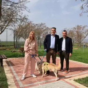 Dimos_Larissaion-Dimotiko_Katafygio-Xvros_Proaylismou_3_original