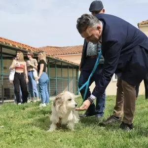 Dimos_Larissaion-Dimotiko_Katafygio-Xvros_Proaylismou_8_original