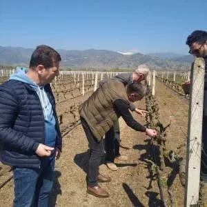 viber_image_2025-03-21_13-15-52-098_original